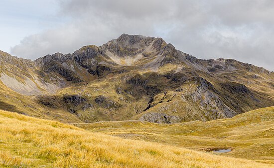 Núi Technical, Khu bảo tồn Phong cảnh Đèo Lewis, New Zealand Hình: Michal Klajban