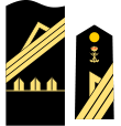 Divisa sargento primero Infantería de Marina