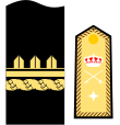 Divisa de general de brigada (Infantería de Marina)