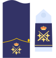 Divisa de teniente general (Ejército del Aire y del Espacio)