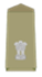 Rank Insignia for ACP-DC rank officer of Indian police