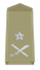 Rank insignia of IGP A & N Police