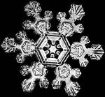 Snowflakes have sixfold symmetry.