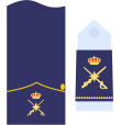 Divisa de general de brigada (Ejército del Aire y del Espacio)