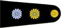 Insignia de Teniente del Ejército Argentino.