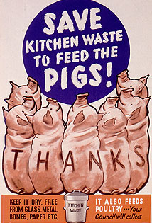 Several pigs arranged in a semi-circle at the foreground, looking towards the centre and the words "Save Kitchen Waste to feed the Pigs!". "Thanks" is printed letter-by-letter along their backs. Instructions at bottom right ask for kitchen waste to be kept dry and free from glass, metal, bones, paper etc. Opposite, it says "it also feeds poultry" and that "Your Council will collect"