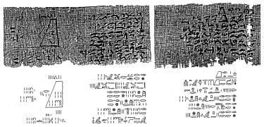 The Moscow Mathematical Papyrus