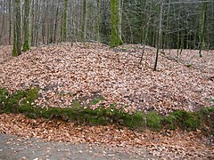 Burial mound in Bøkeskogen.