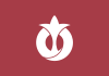 Flag of අයිචි ප්‍රාන්තය