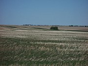 Prairie in Alberta, Canada