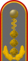 Dienstgradabzeichen eines Generaloberstabsarztes (Approbation für Humanmedizin) auf der Schulterklappe der Jacke des Dienstanzuges für Heeresuniformträger