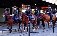 Officers with the now-defunct Mounted Unit
