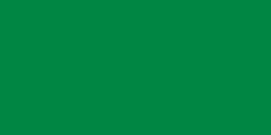 The former flag of Libya (1977–2011) was the only monochromatic flag in the world, with no design or details.