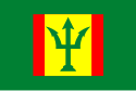 Flag of Wadhwan