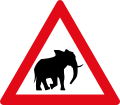 Elephants ahead