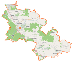 Mapa konturowa gminy Wiązowna, blisko górnej krawiędzi po lewej znajduje się punkt z opisem „NTT System S.A.”