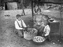 Yokuts woman and two boys preparing peaches on the Tule River Reservation ~1900AD