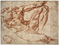 Michelangelo - Nghiên cứu về một nam giới khỏa thân nằm nghiêng: Adam trong bức bích họa The Creation of Adam trên trần Nhà nguyện Sistine, c. 1511
