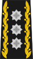 Commandant de corps (chef de l'Armée, des Forces terrestres ou des Forces aériennes) (cdt C)