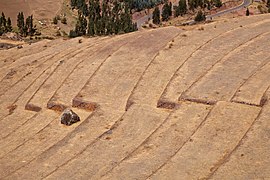 Terrasses incaïques de Písac, détail du dessin des terrasses épousant les courbes de niveau et les variations de la pente.