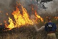 Image 43A Russian firefighter extinguishing a wildfire (from Wildfire)