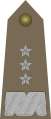 Generał broni (Wojska Lądowe (Polonia))