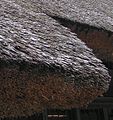 A closeup of English thatching