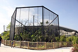 The Thailand Hornbill enclosure.