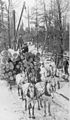 Image 42Logs being transported on a sleigh after being cut (from History of Wisconsin)