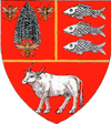 Grb županije Vaslui