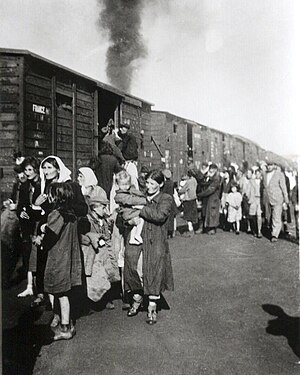 Засуджені Єврейські сім'ї сідають на поїзд Голокосту в Треблінку під час ліквідації гетто в Седльце. Дія Рейнхарда, 1942.