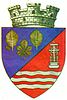 Coat of arms of Făget