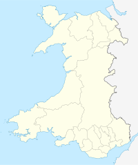Cardiff (Waliziska)