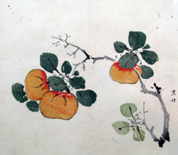 Olistěná větévka se třemi mandarinkami, tušová kolorovaná kresba