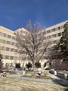 An outside photo from 2023 of the Fitzsimons Building showing the State Anatomical Board Body Donor Garden in the southeast corner of the building.