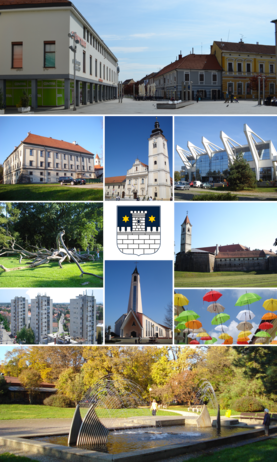Top: Franciscan Square, Second: Međimurje County Museum, Saint Nicholas Church, High School for Construction Engineering Sports Arena, Third: A black locust monument in Zrinski Park, Coat of arms of Čakovec, Zrinski Castle, Fourth: A residential complex in Valent Morandini Street area, Saint Anthony of Padua Church, Porcijunkulovo Christian Festival in every August, Bottom: Fountain in Zrinski Park (all items from left to right)