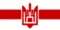 Біло-червоно-білий прапор із колонами Ґедиміна у формі тризуба білоруської діаспори в Україні, який також використовує полк імені Кастуся Калиновського[21][22]
