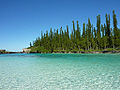 Image 50New Caledonia (from Melanesia)