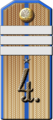 Погон воинского звания (1904—1909 гг.) Зауряд-прапорщик (произведенный из старших унтер-офицеров)