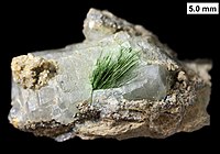Needle-like millerite crystals partially encased in calcite crystal and oxidized on their surfaces to zaratite; from the Devonian Milwaukee Formation of Wisconsin