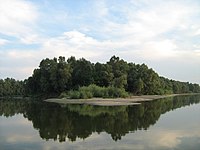 Gornje Podunavlje Special Nature Reserve in Serbia