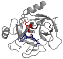 Diagrama dunha serpina e unha protease