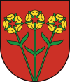 Wappen von Stropkov