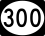 Delaware Route 300 marker