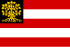 S-Hertogenbosch bayrağı
