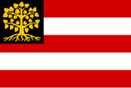 Vlag van De Bósj