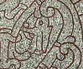 Runsten U 1163 avbildar troligen valkyrian Sigdriva med karaktärsdrag såsom lång fläta och dryckeshorn.