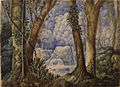 Hutan Brasil, lukisan cat air