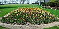 Lakeview Park tulip garden