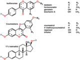 Polyphenols include phytoestrogens (top and middle), mimics of animal estrogen (bottom).[82]